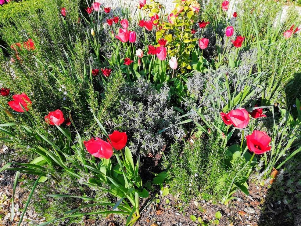 Bed and Breakfast Le Domaine Des Platanes Bourg-Charente Esterno foto