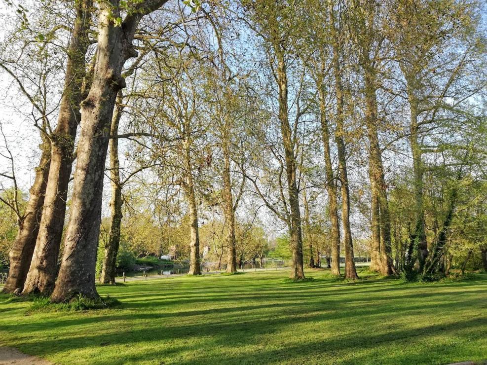Bed and Breakfast Le Domaine Des Platanes Bourg-Charente Esterno foto