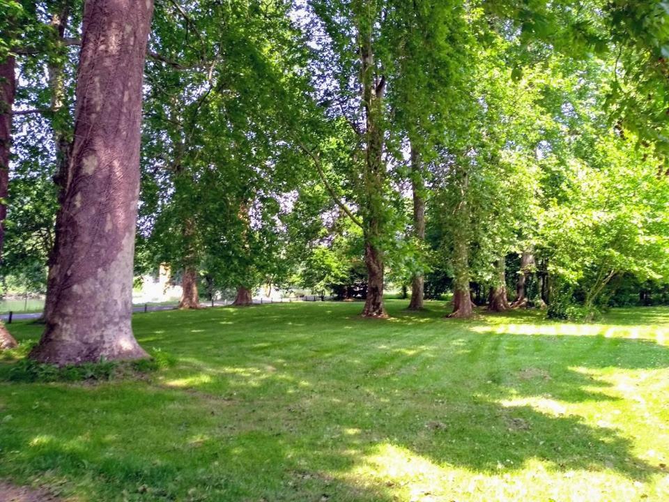 Bed and Breakfast Le Domaine Des Platanes Bourg-Charente Esterno foto